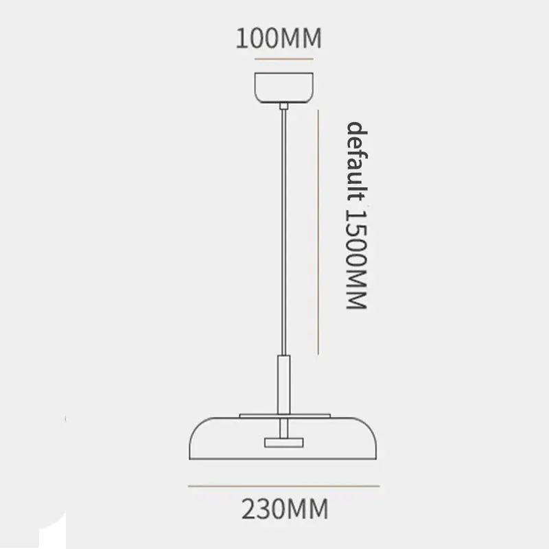 Designer Hanging Decorative Pendant Light ChandeliersLife®